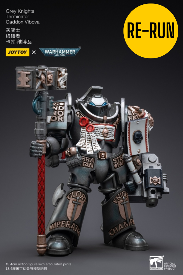 Grey Knights Terminator Caddon Vibova - Warhammer 40K Action Figure By JOYTOY